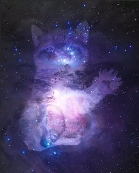 ps入门教程好莱坞大片级场景制作宇宙猫